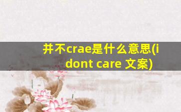 并不crae是什么意思(i dont care 文案)